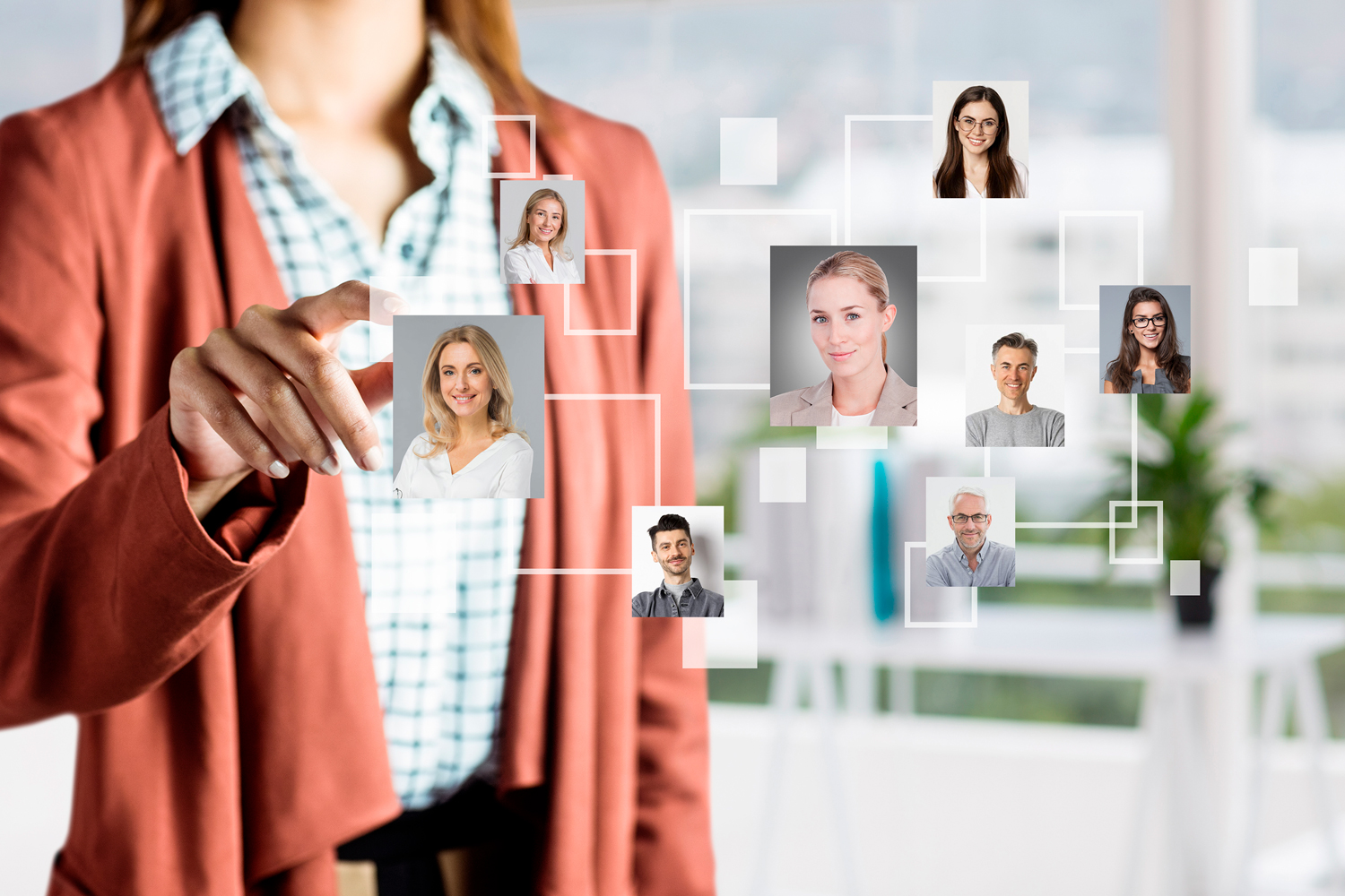 Organiza tu equipo en un solo vistazo